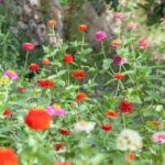 slideflowers