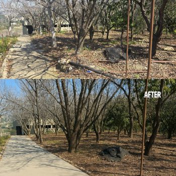 Widening of the Road to the St. Elie Community Cemetery